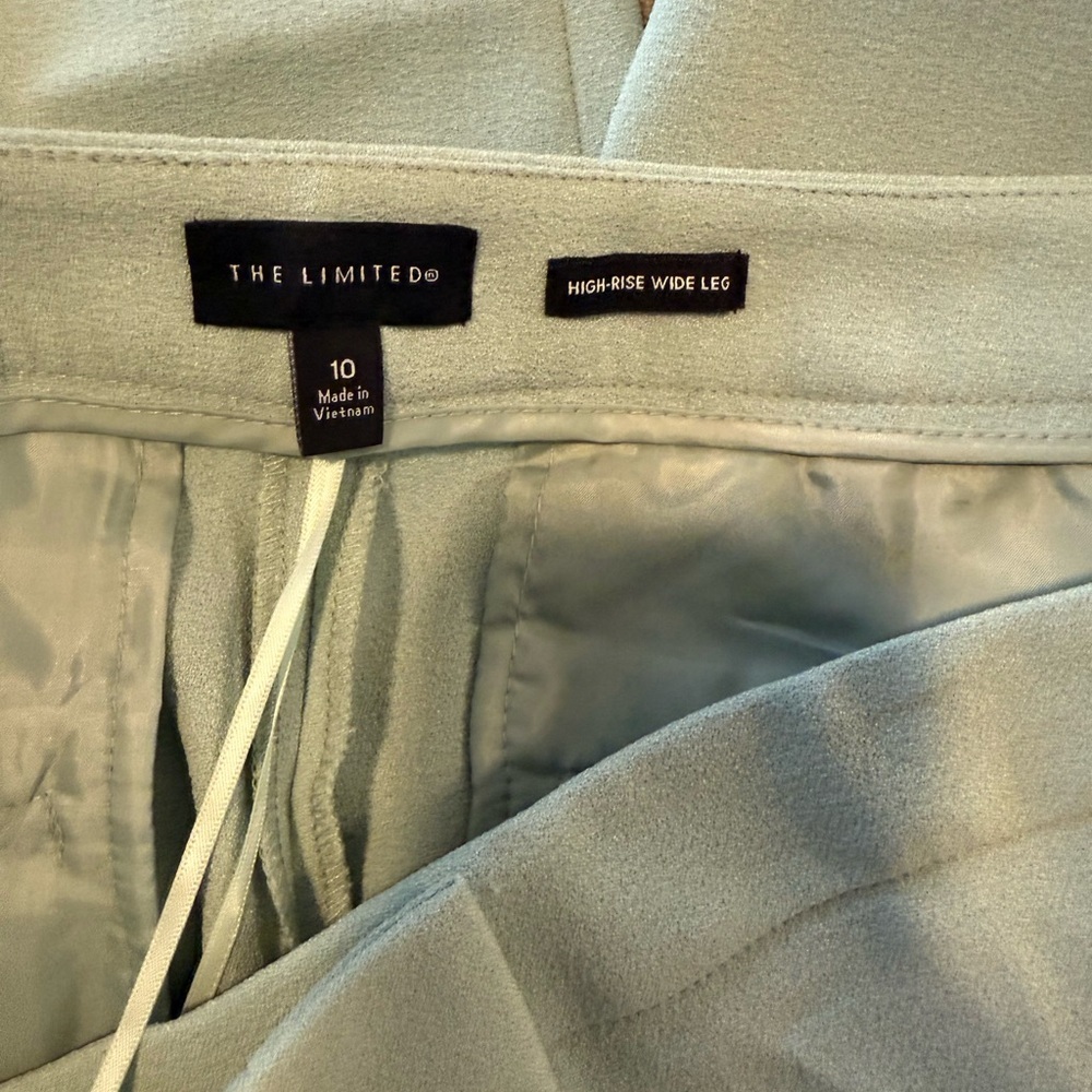 Elegant Women's Light Green Pants - Picture 5 of 5